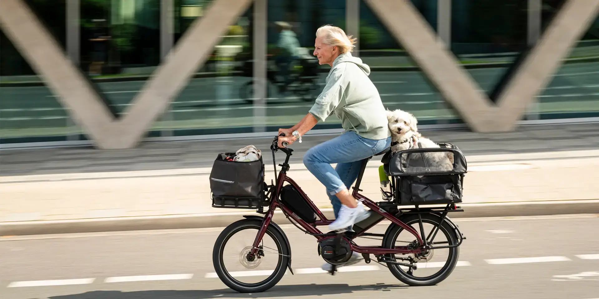 Tern Quick Haul D8: The carrying capacity you need