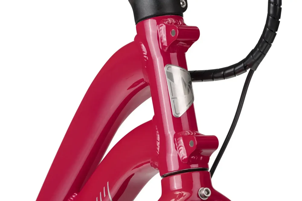 The frame-mounted Combo Mount on the Tern NBD P8i