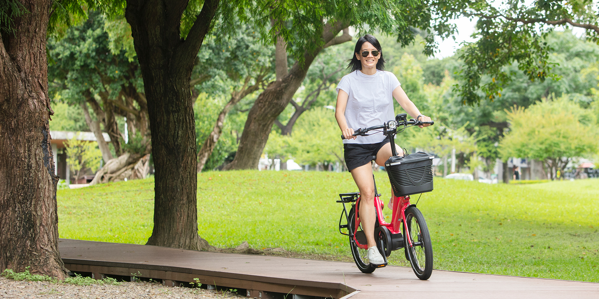 Tern NBD with swept-back handlebars and wide grips
