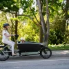 Urban Arrow FamilyNext Pro