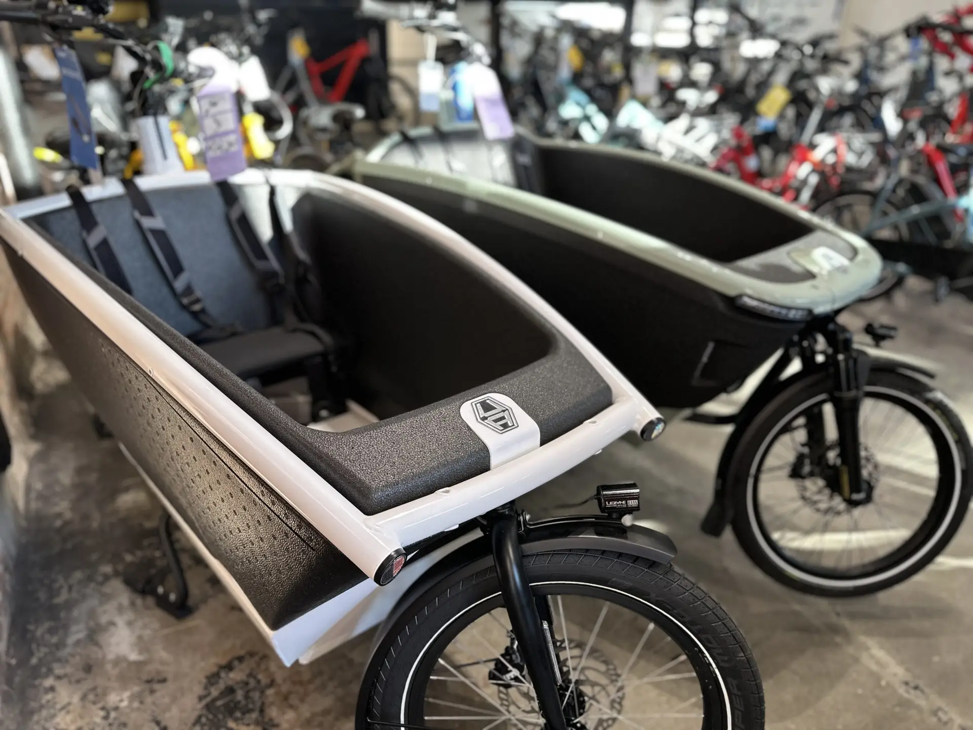 Cargo bikes lined up inside the shop
